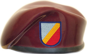82nd Aviation Regiment HHC And HQ'S Ceramic Beret With Flash 